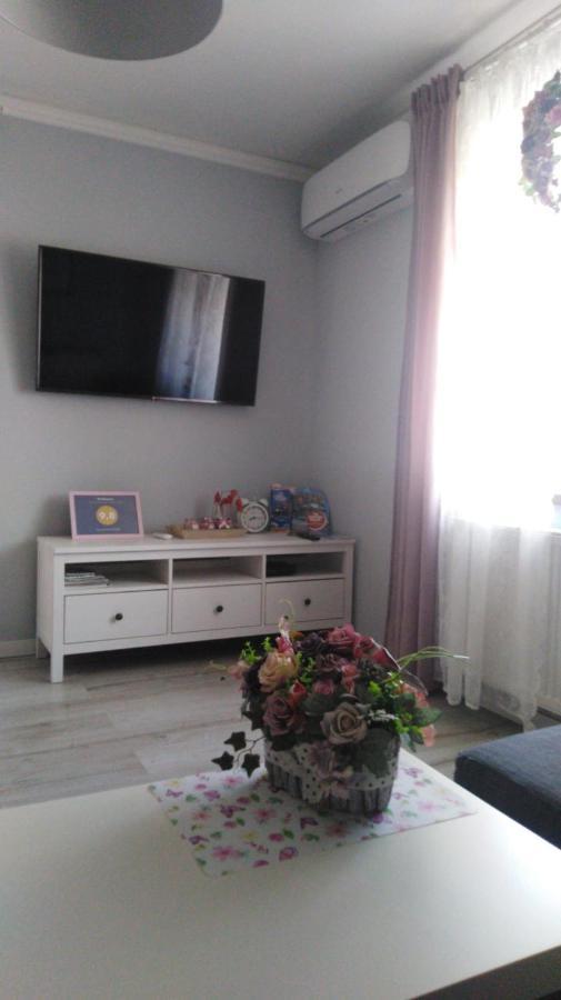 Apartament Antek Klimatyzowany Освиенцим Екстериор снимка